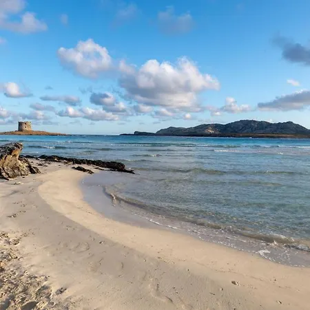 Charming Sea Villas No2085 Apartment Punta de su Torrione